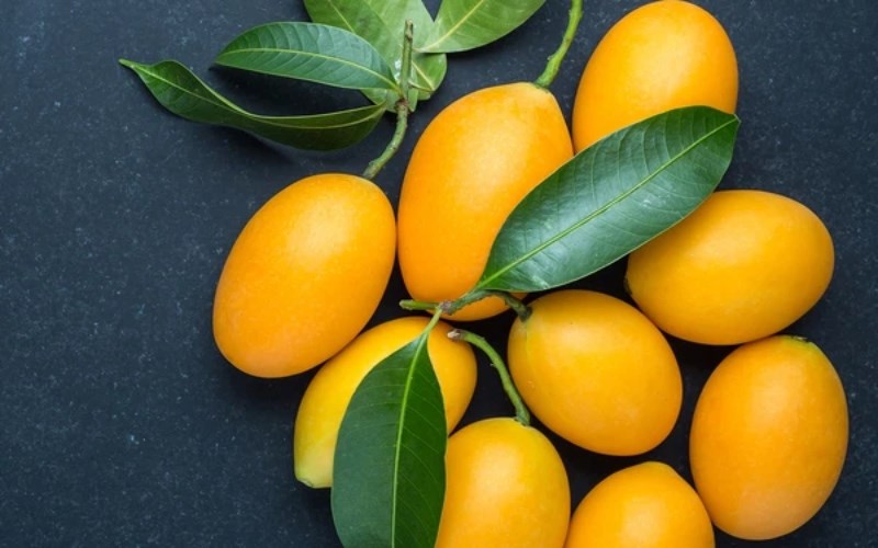 đặc sản Vĩnh Long