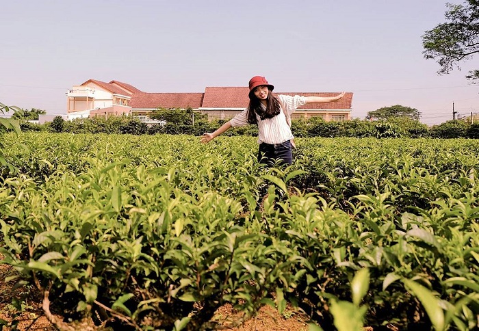 đặc sản Lâm Đồng