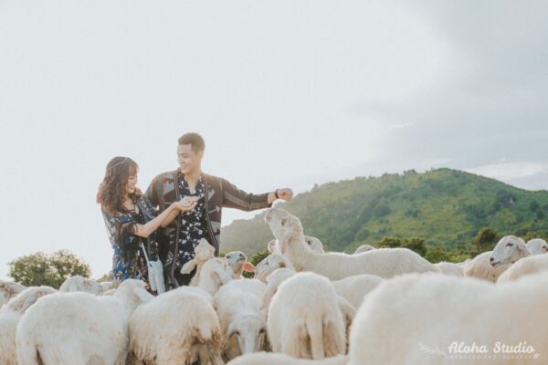 top studio chụp hình cưới giá rẻ tại tp HCM