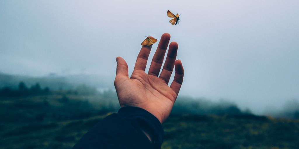 thương hiệu học chụp ảnh ở miền Trung chất lượng