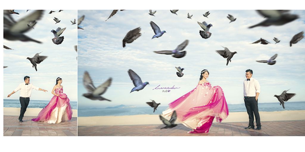 ảnh cưới ở công viên biển đông