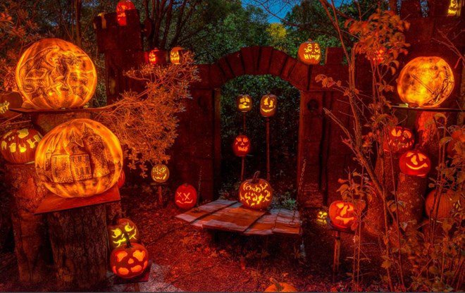 Mẹo chụp ảnh Halloween đầy sáng tạo bạn đã biết Mẹo chụp ảnh Halloween đầy sáng tạo bạn đã biết