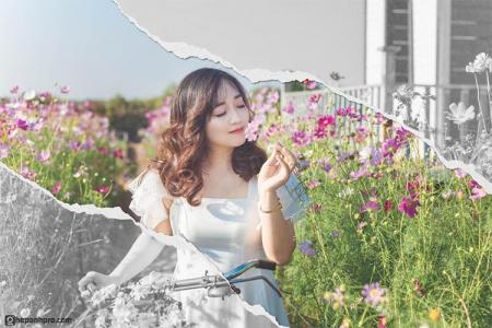 Dịch vụ ghép ảnh có uy tín tại Việt Nam: 