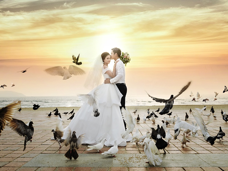 Những studio chụp ảnh cưới lãng mạn và tinh tế tại Đà Nẵng (Cập nhật 09/2025) Những studio chụp ảnh cưới lãng mạn và tinh tế tại Đà Nẵng (Cập nhật 09/2025)